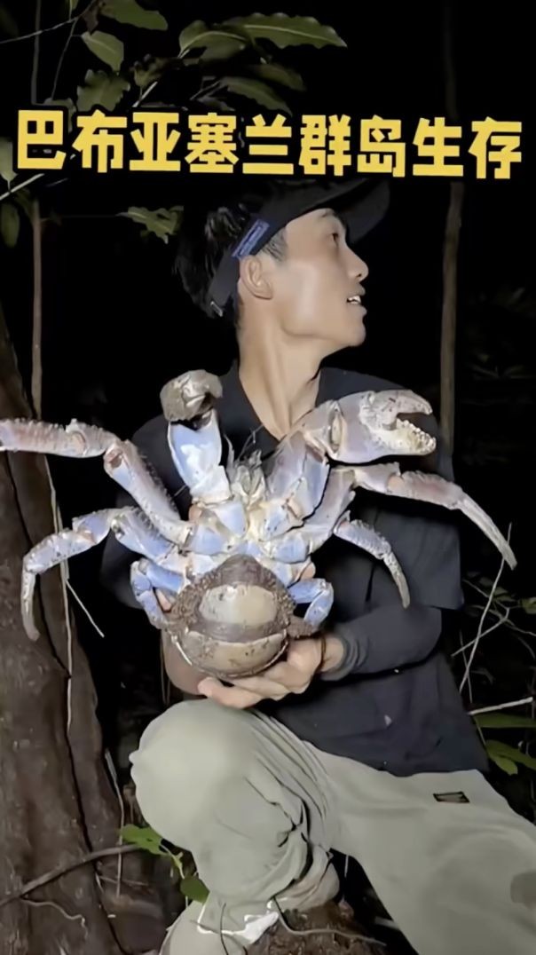 Hunting King of Crab
